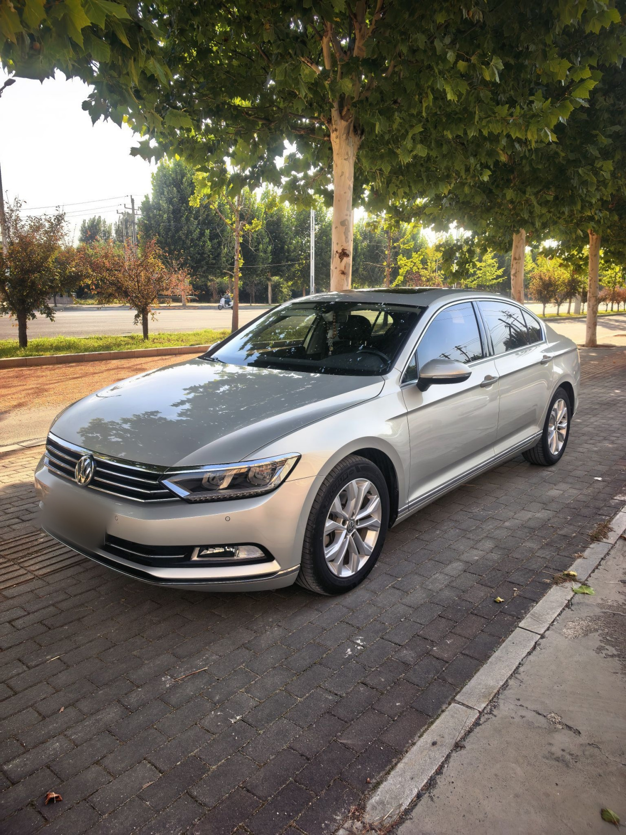Magotan 2017 330TSI DSG Luxury