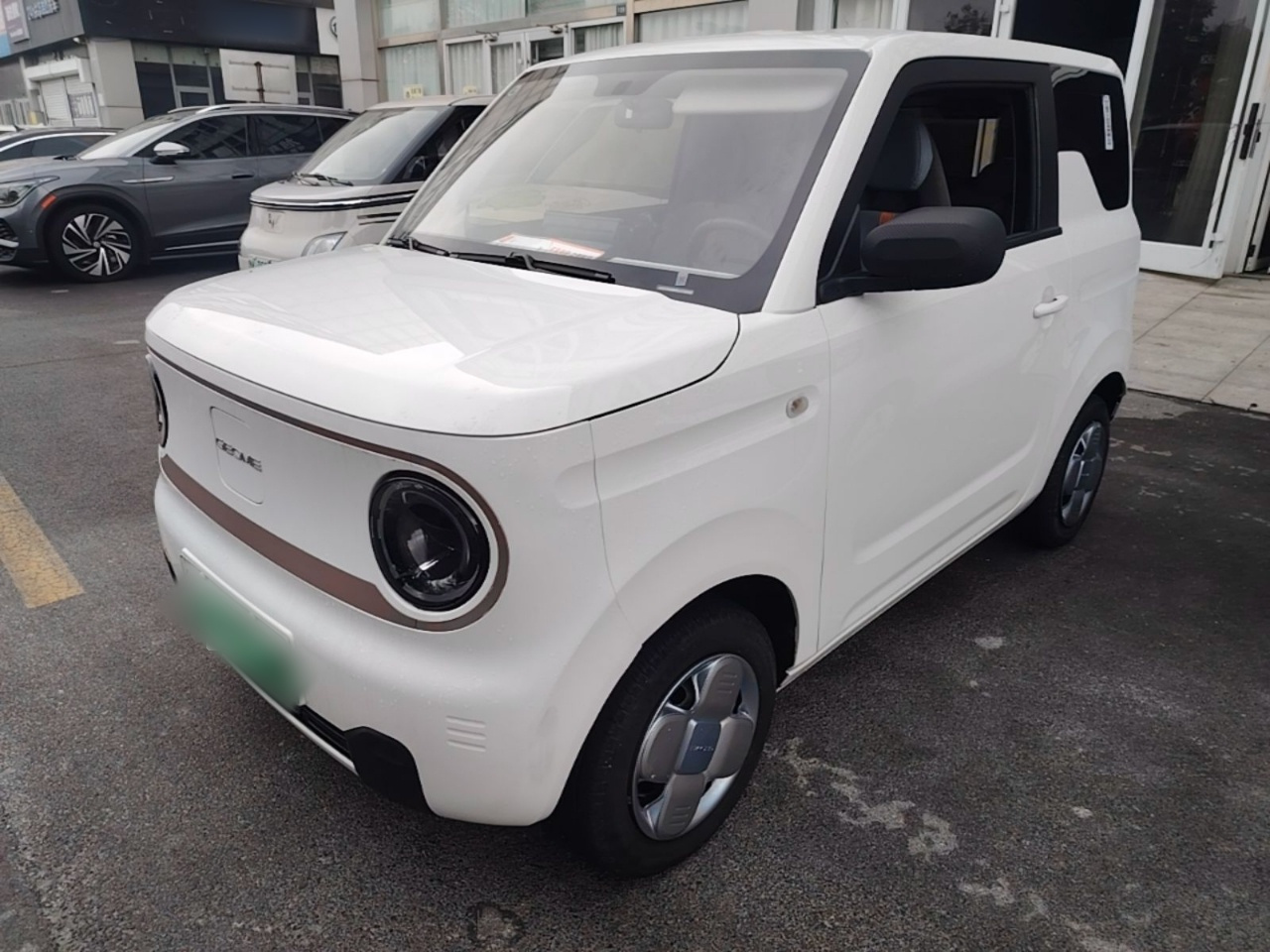 2023 Panda mini 200km Endurance Bear