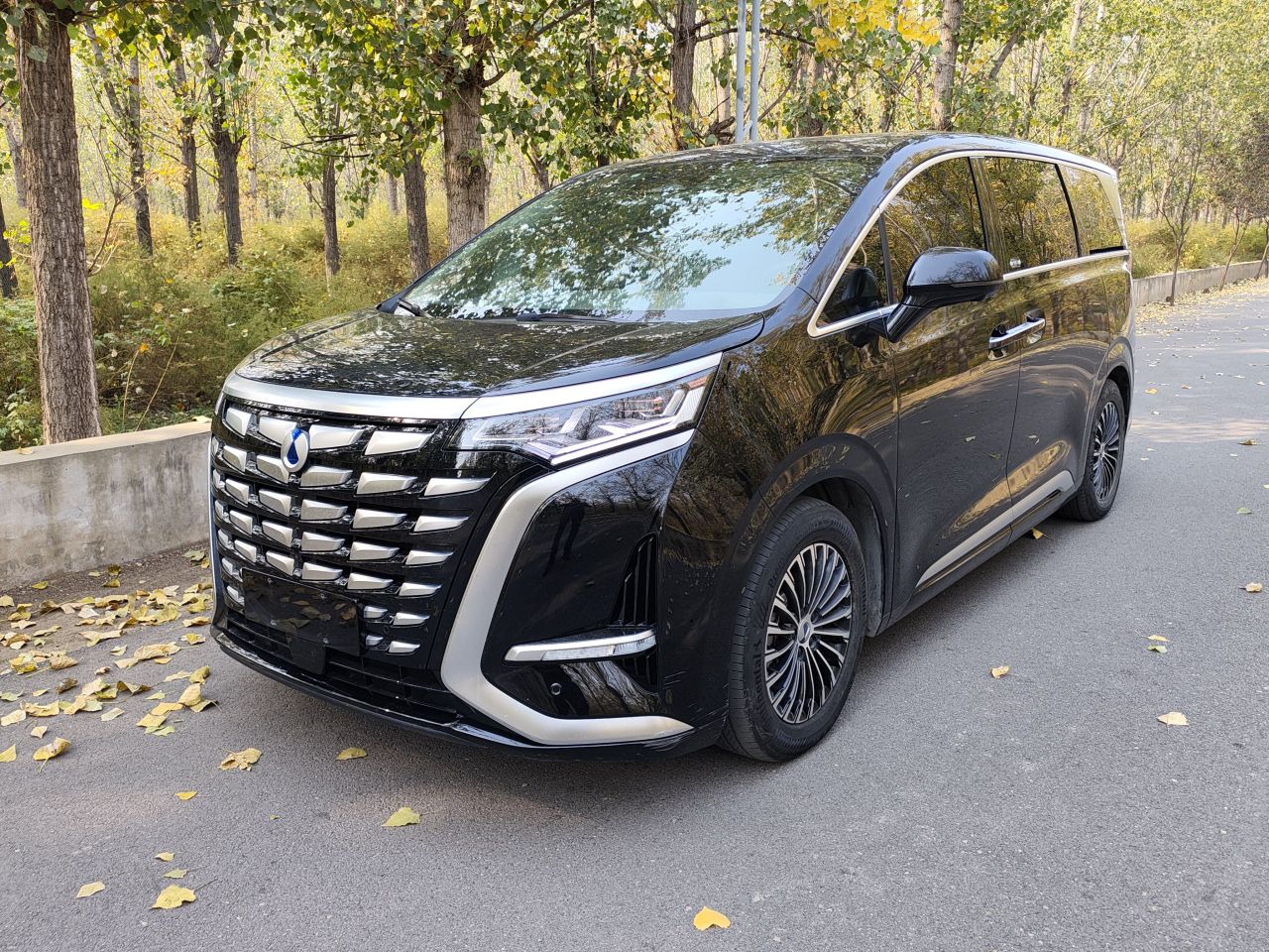 D9 2022 DM-i 970 AWD Noble