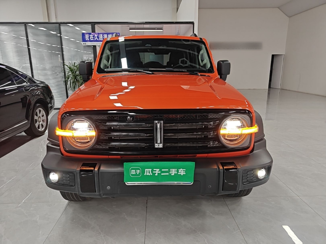 300 2021 Off-road 2.0T Conqueror photo 2