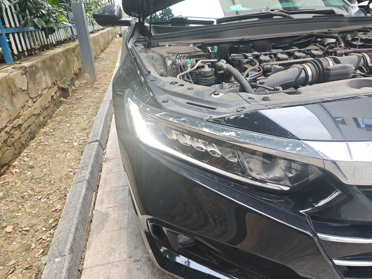 Accord 2022 260TURBO Luxury photo 4
