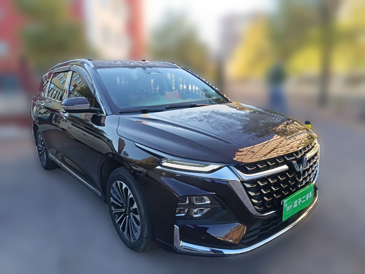 Wuling 2023 2.0L DHT photo 3