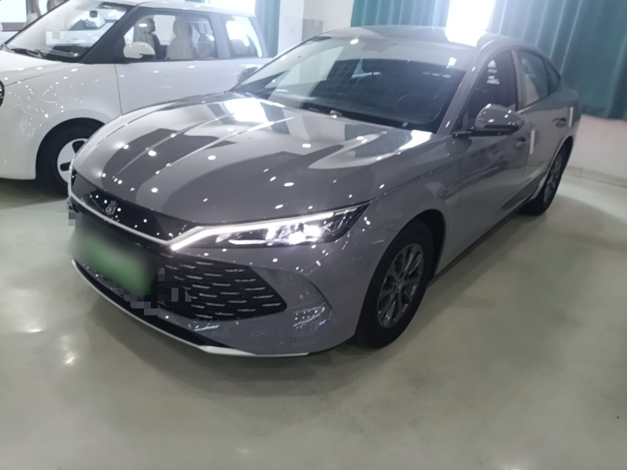 Qin L 2026 DM-i 128KM Progressive