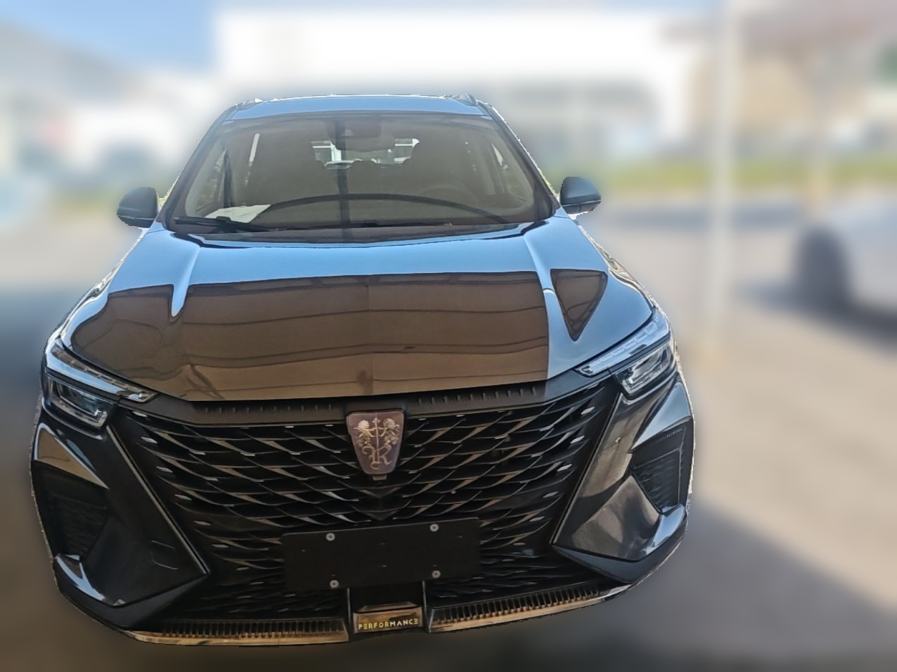 RX5 EV 2021 ePLUS Flagship photo 2