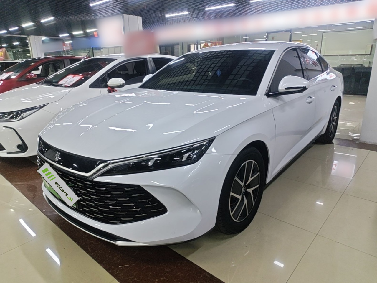 Qin L 2024 DM-i 80KM
