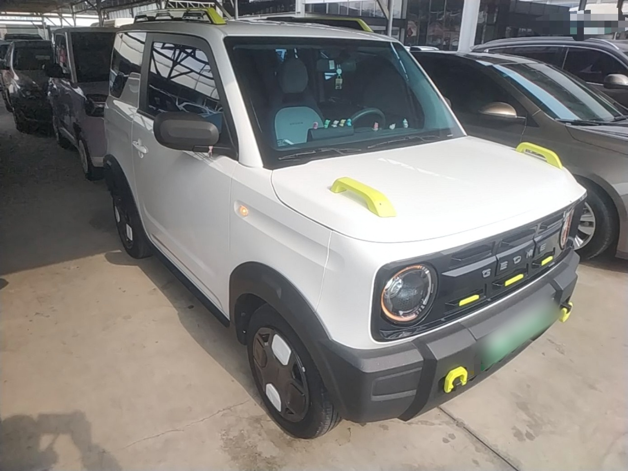 2025 210km Panda photo 3