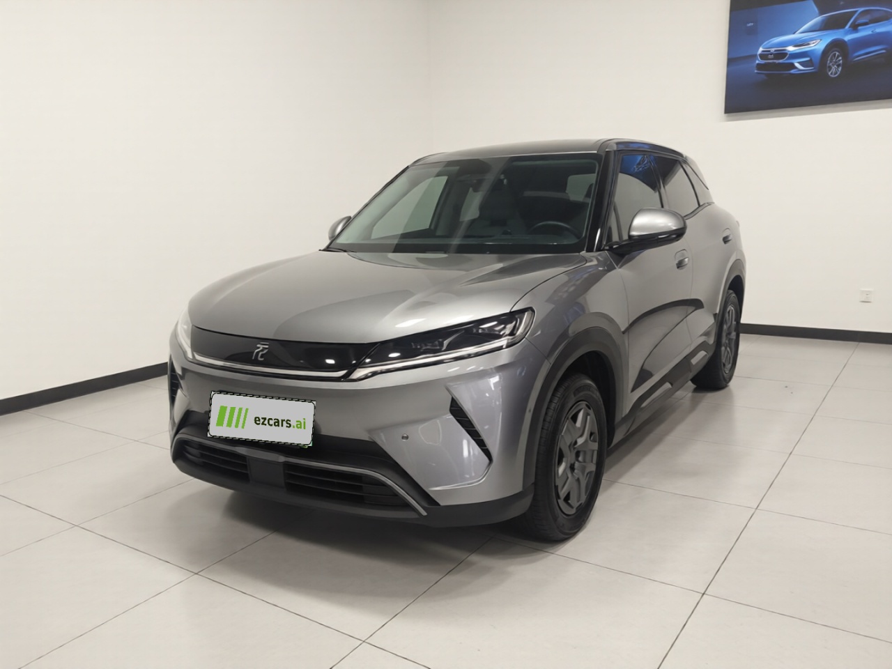Yuan UP 2025 ADAS 401KM