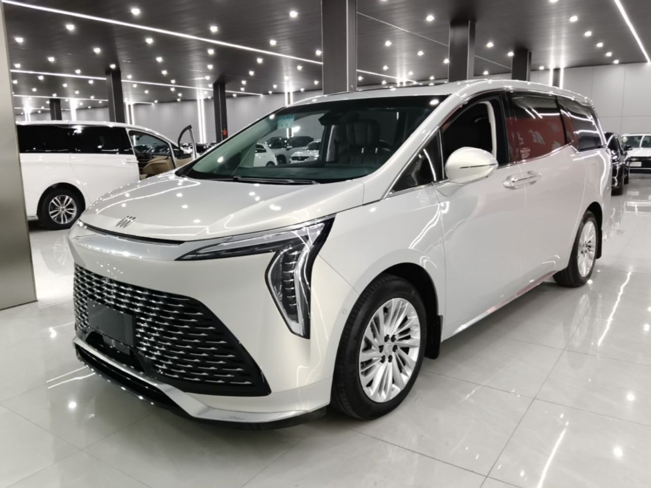 2025 2.0T 6-Seater