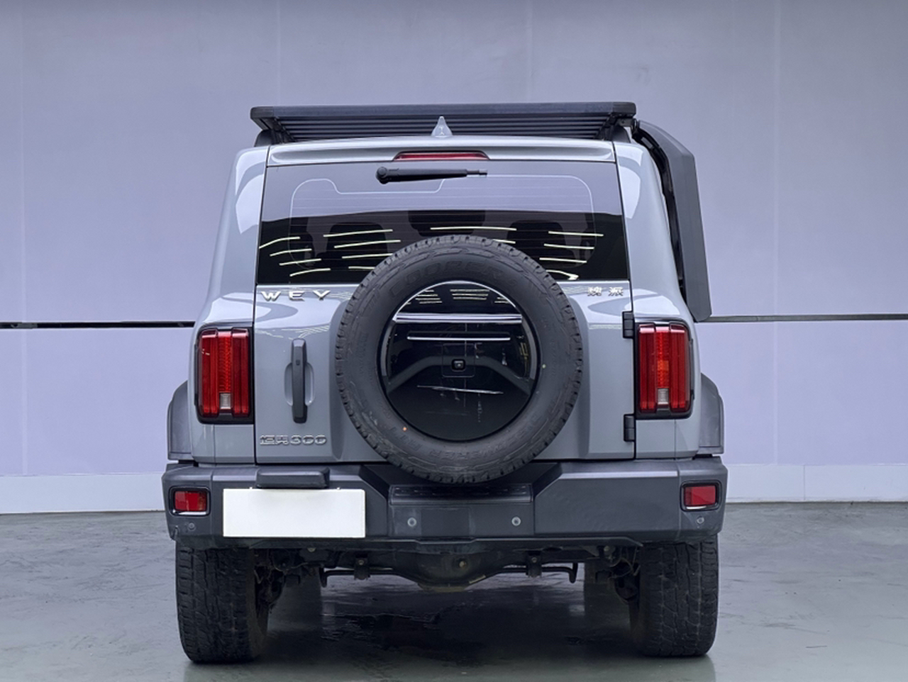 300 2021 Off-road 2.0T Conqueror photo 3