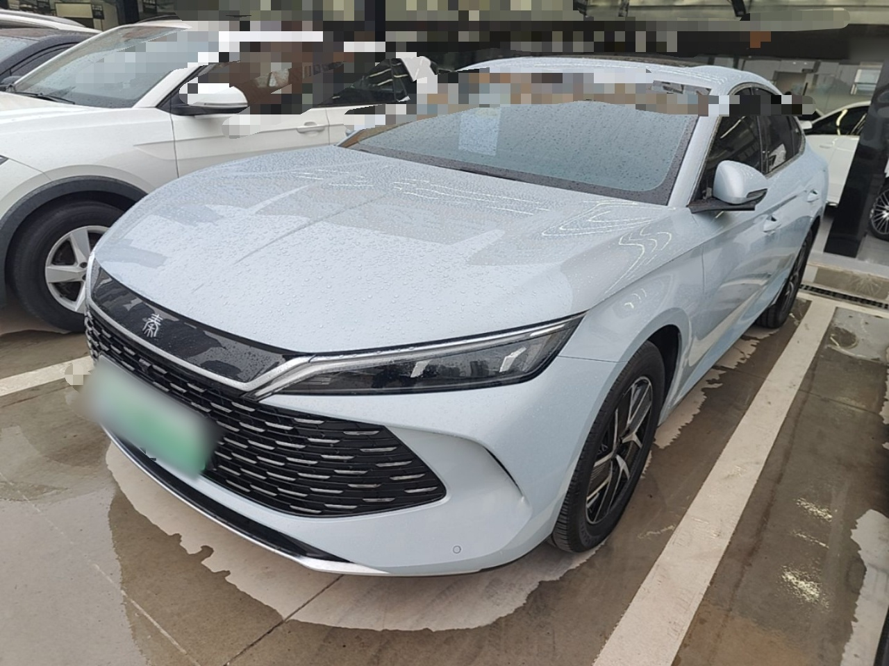 Qin L 2024 DM-i 120KM