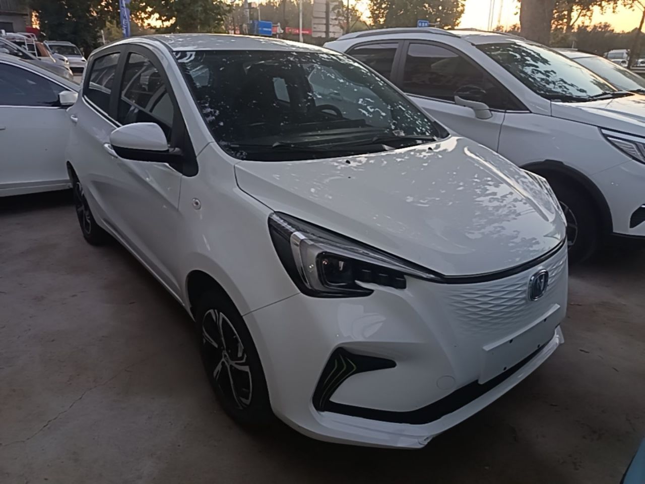 Benni E-Star 2022 NCM photo 3