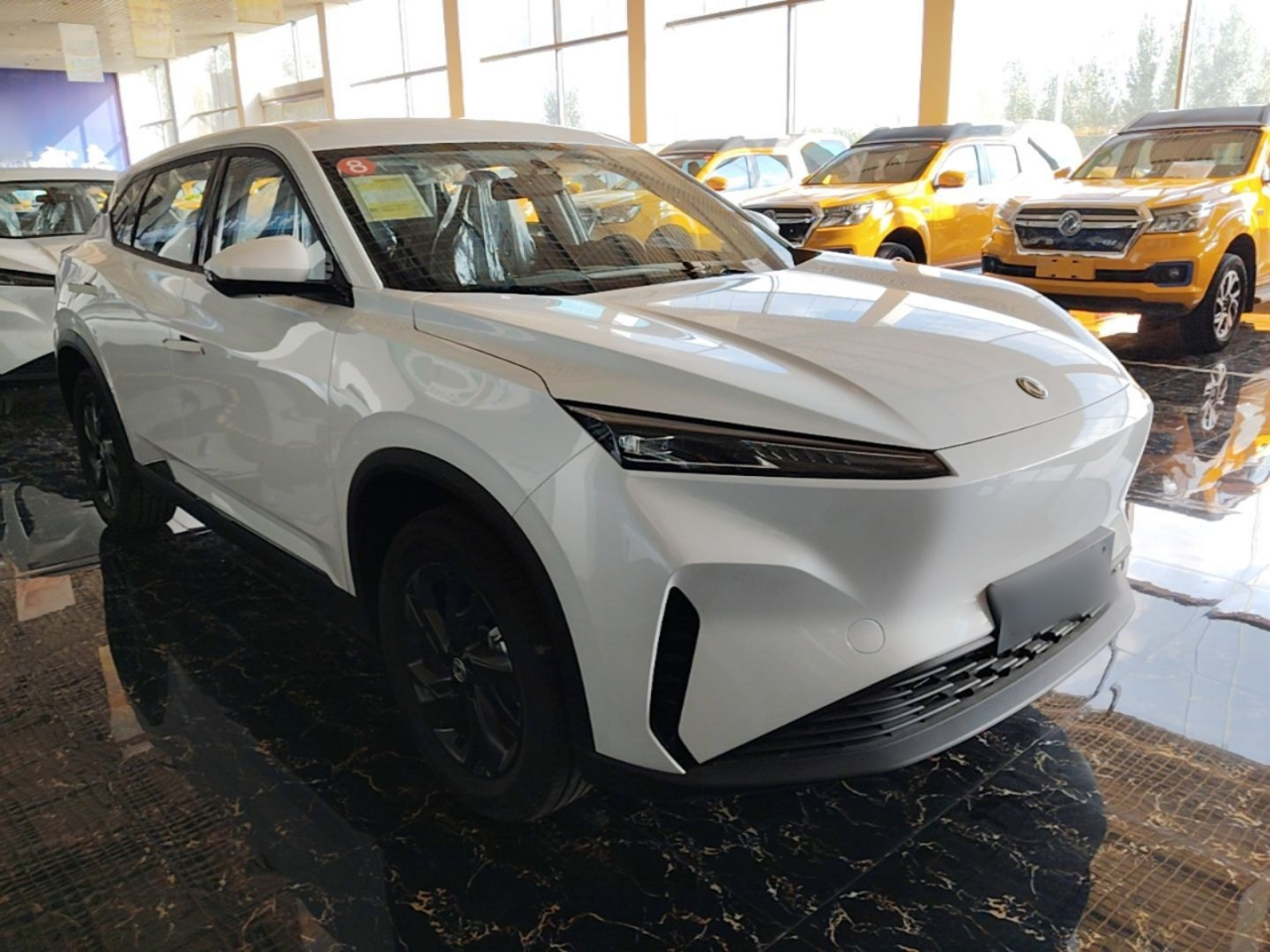 SKY EV01 2025 530km AIR Elite photo 5