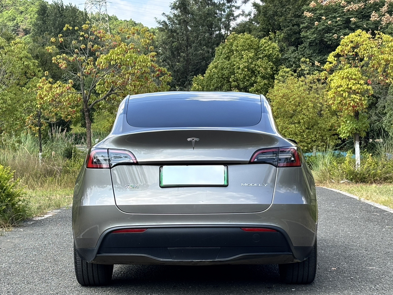 Model Y 2023 Long Range AWD photo 2
