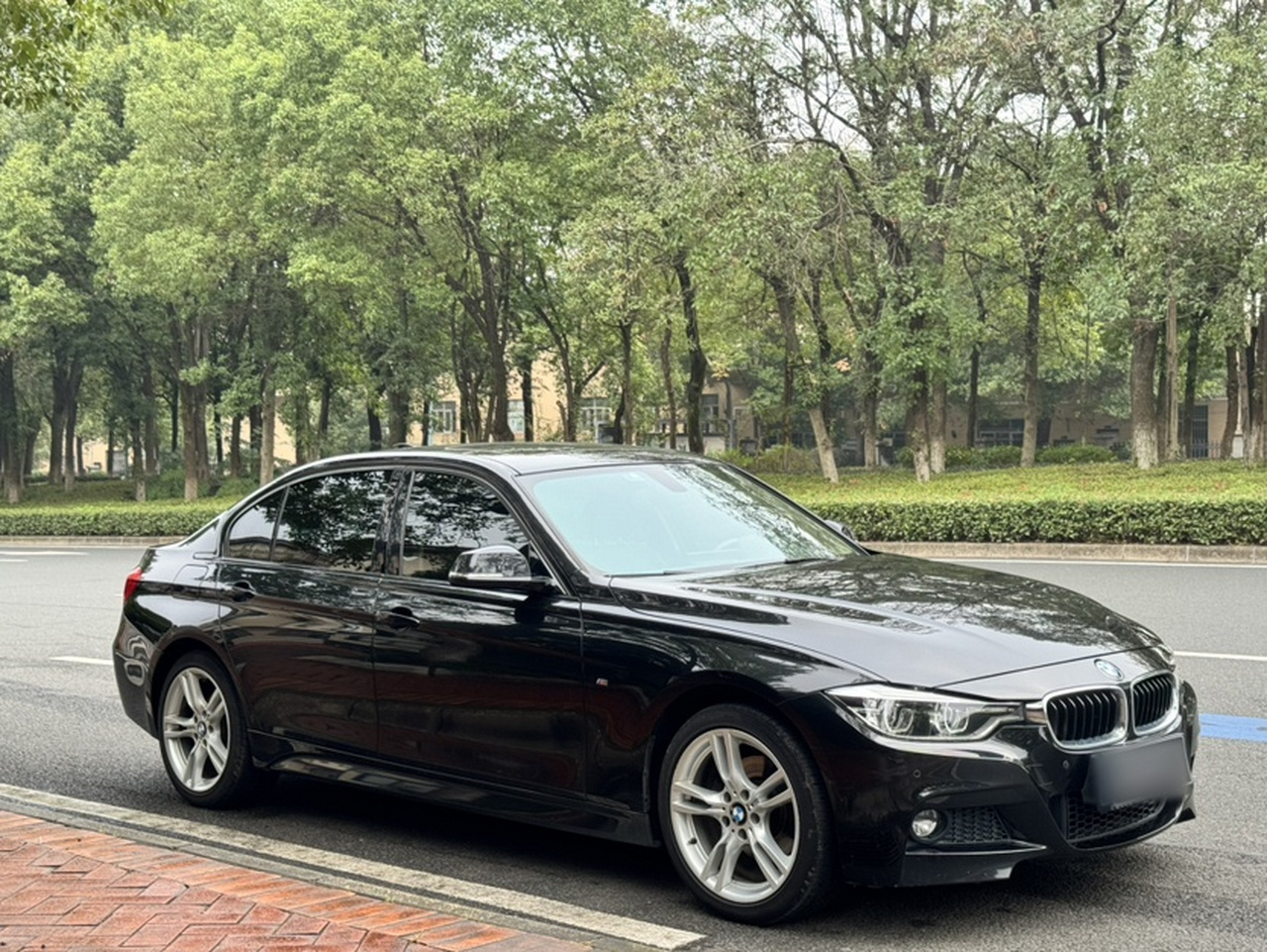3 Series 2019 320Li M Luxury photo 3