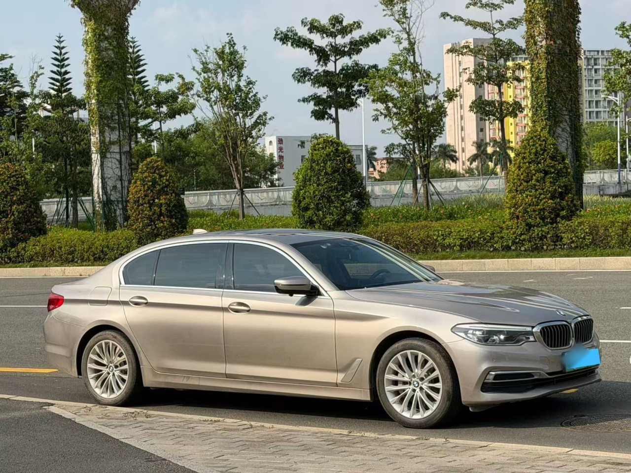 5 Series EV 2020 530Le Luxury photo 2