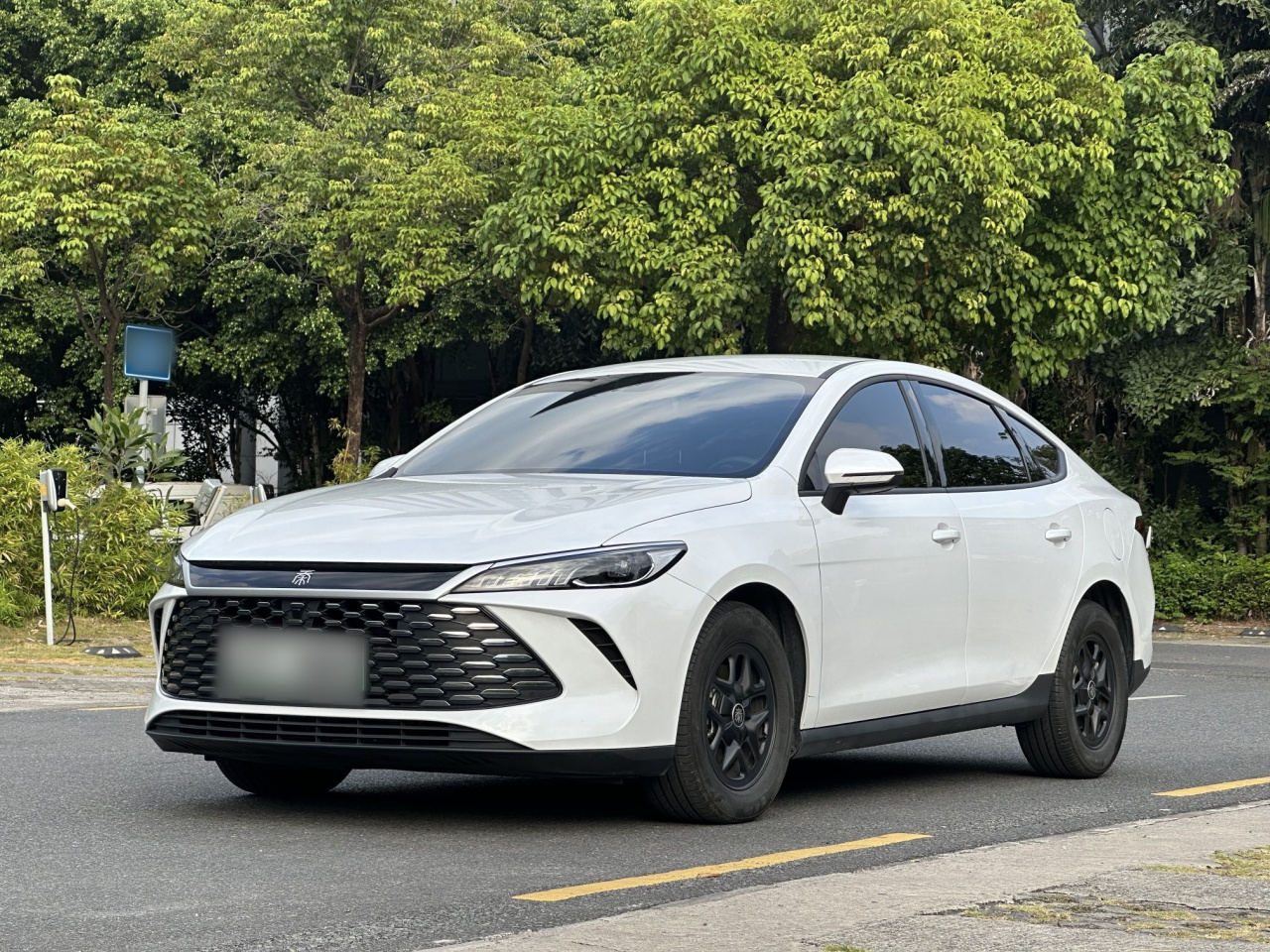 Qin PLUS 2025 DM-i ADAS 55KM Leading