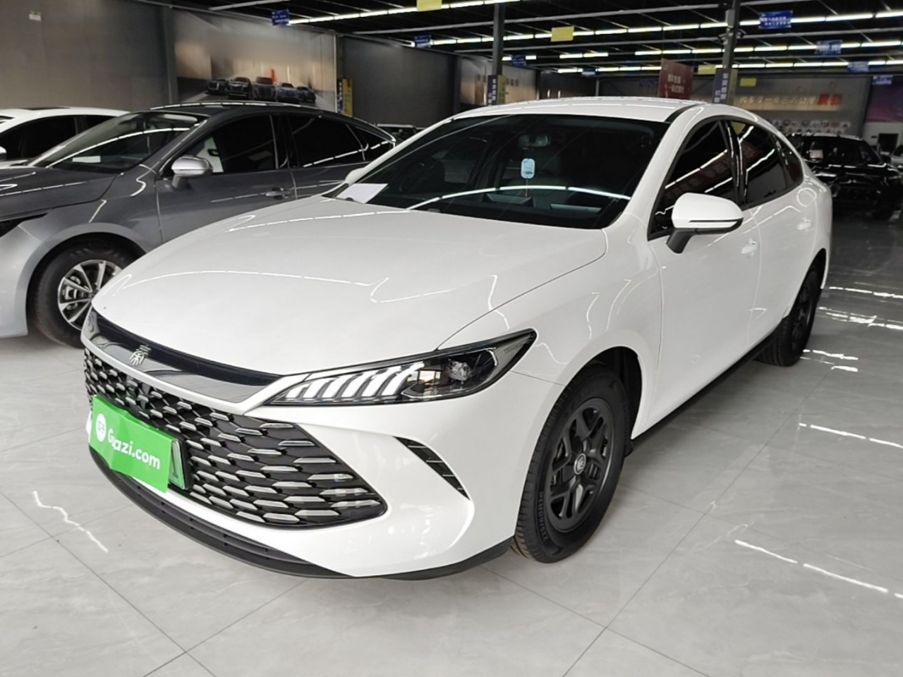 Qin PLUS 2025 DM-i ADAS 55KM Leading