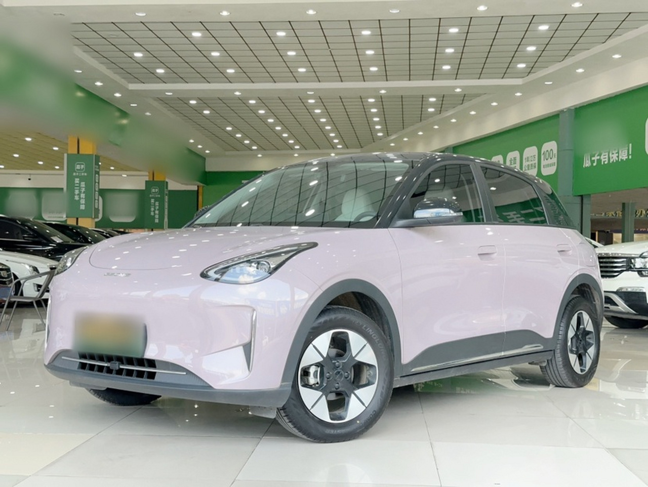 Xingyuan 2025 310km