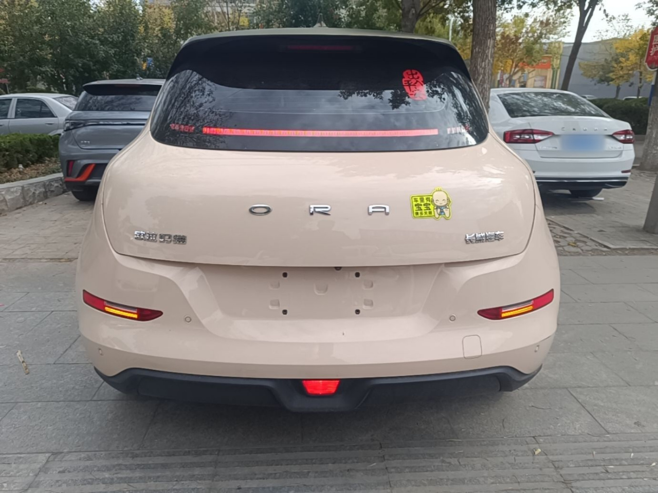 Good Cat 2021 400km Standard Range LFP photo 3