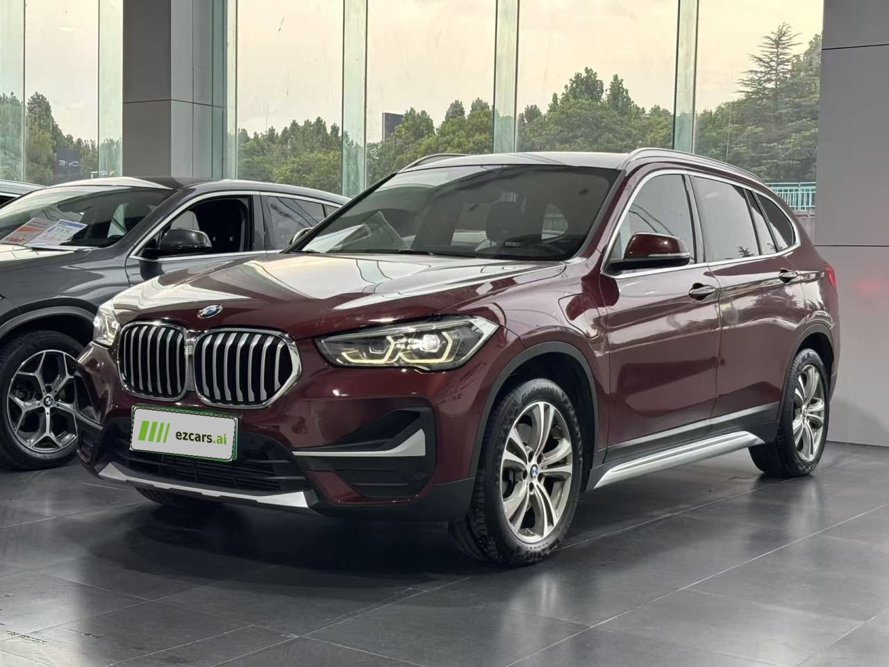X1 EV 2020 xDrive30Le Exclusive