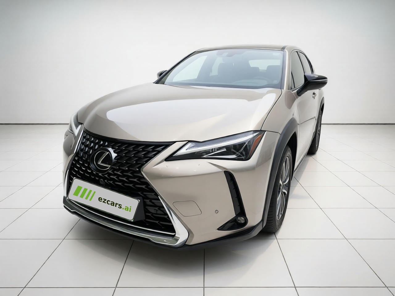 UX EV 2020 300e