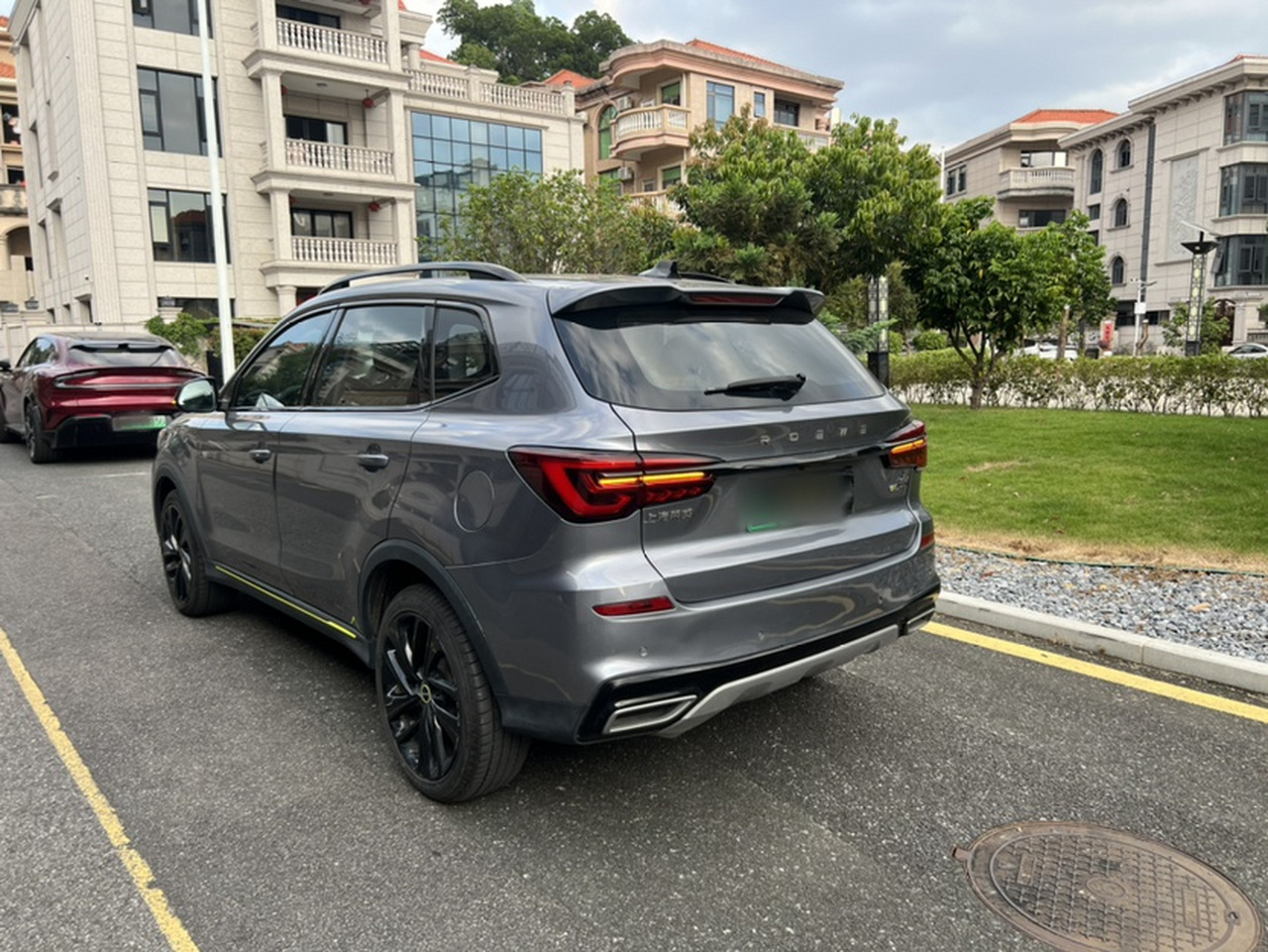RX5 EV 2020 ePLUS Luxury photo 3