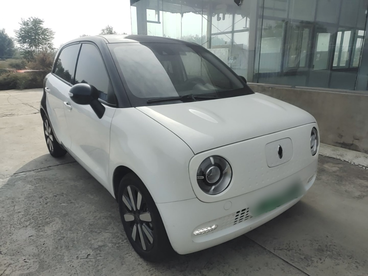 2019 351km photo 3