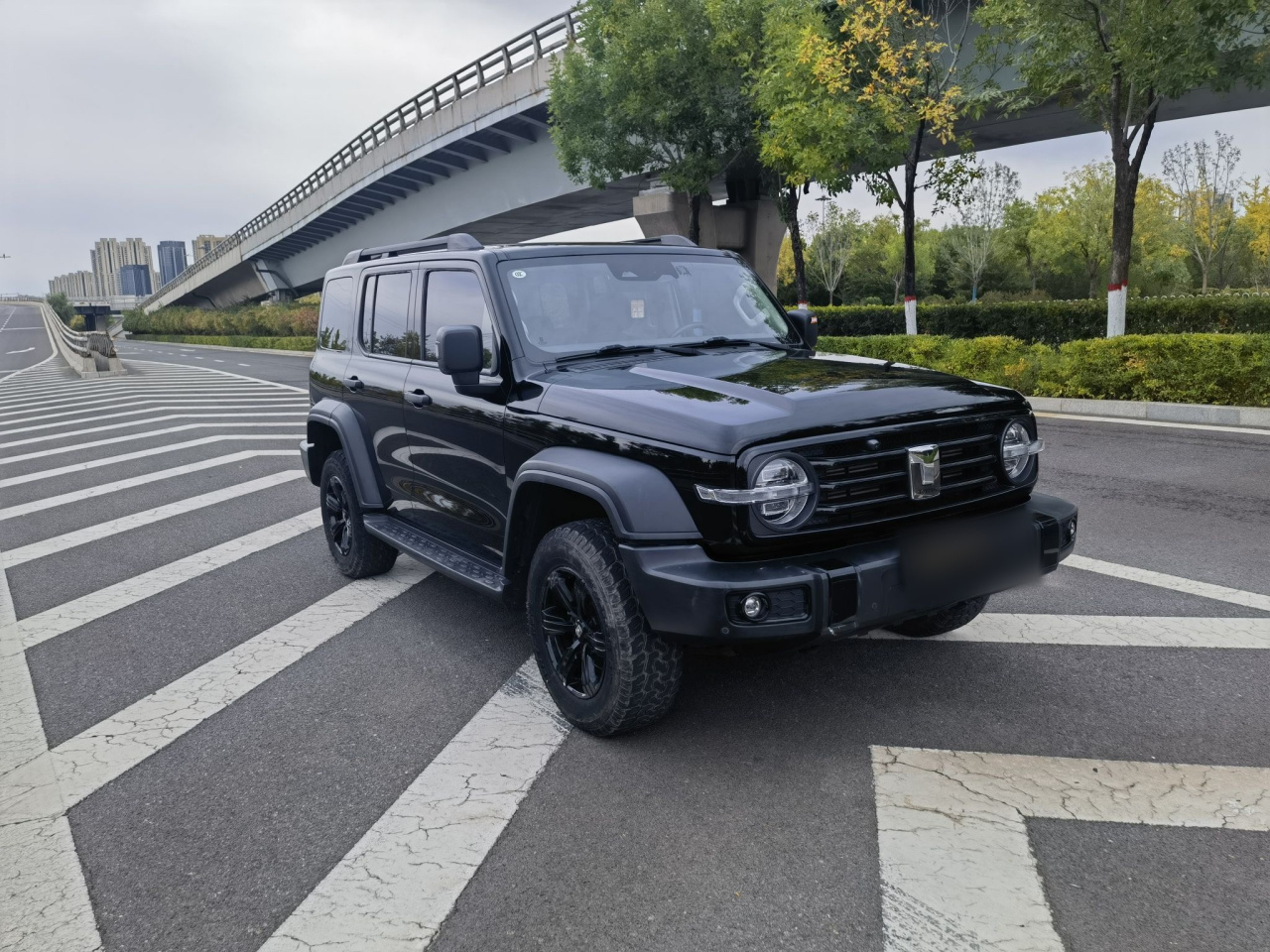 300 2023 Off-road 2.0T photo 4