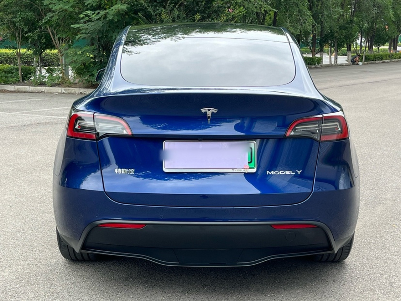 Model Y 2021 Standard Range RWD photo 2