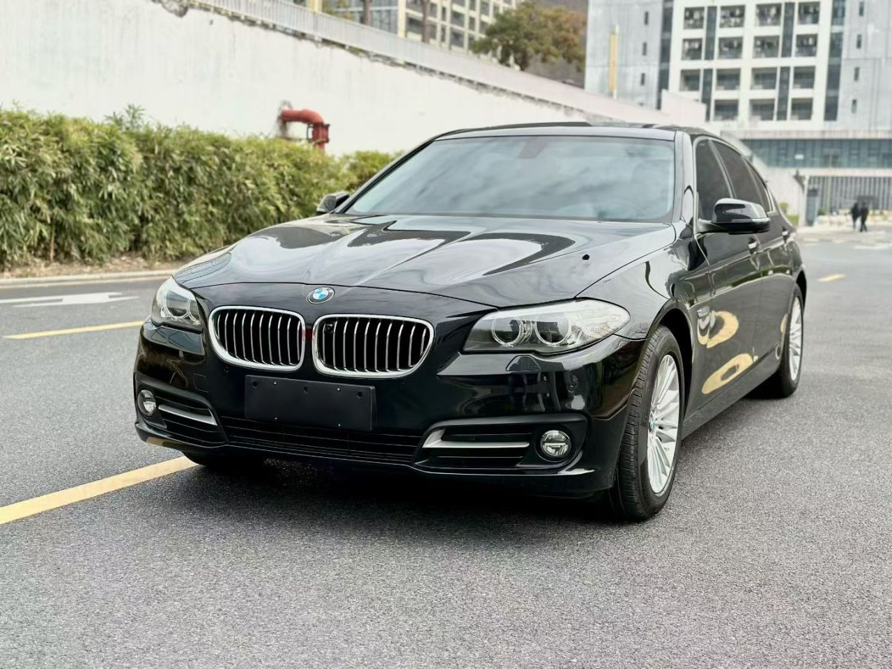 5 Series 2014 525Li Leading