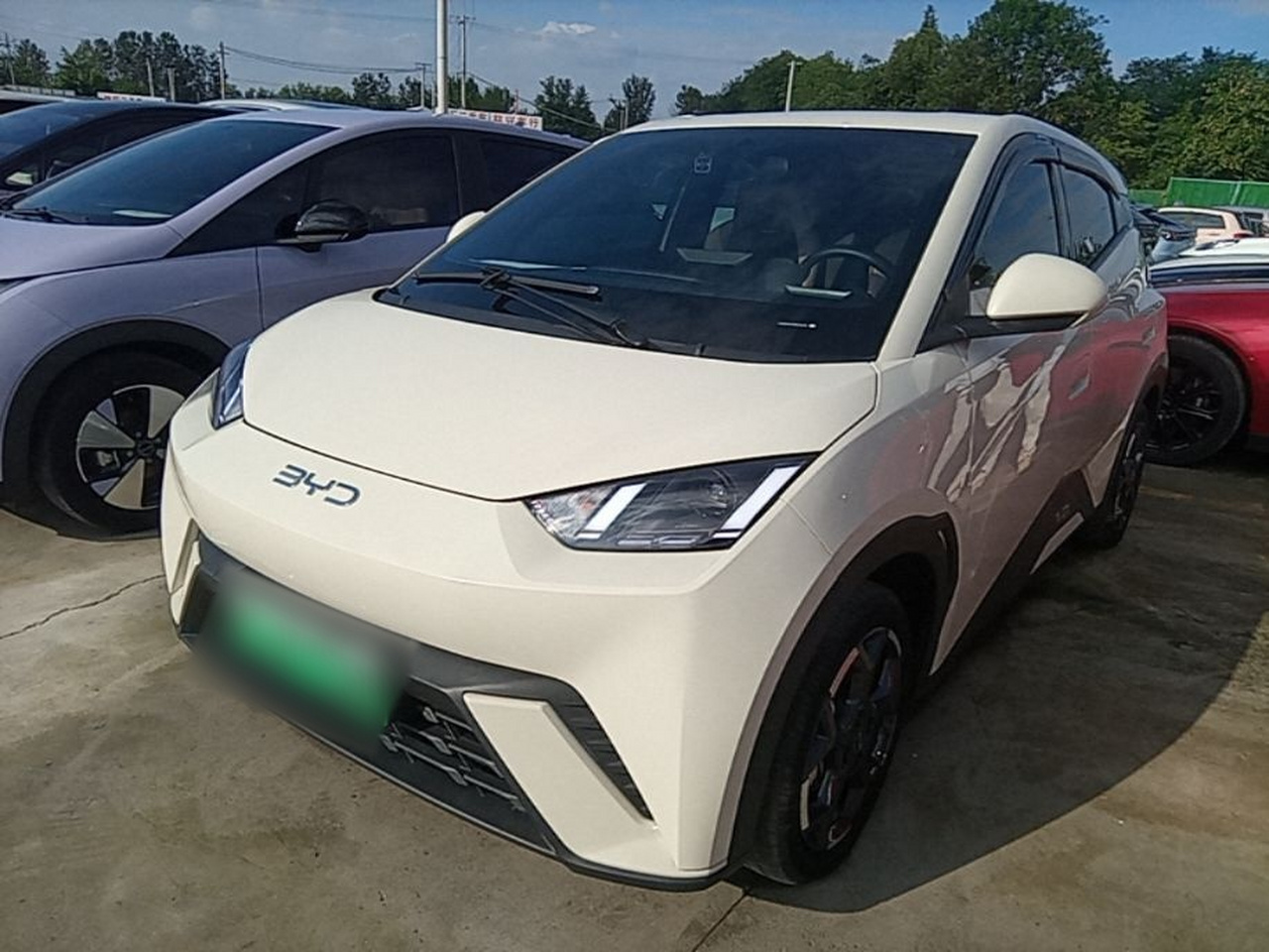 Seagull 2025 305km