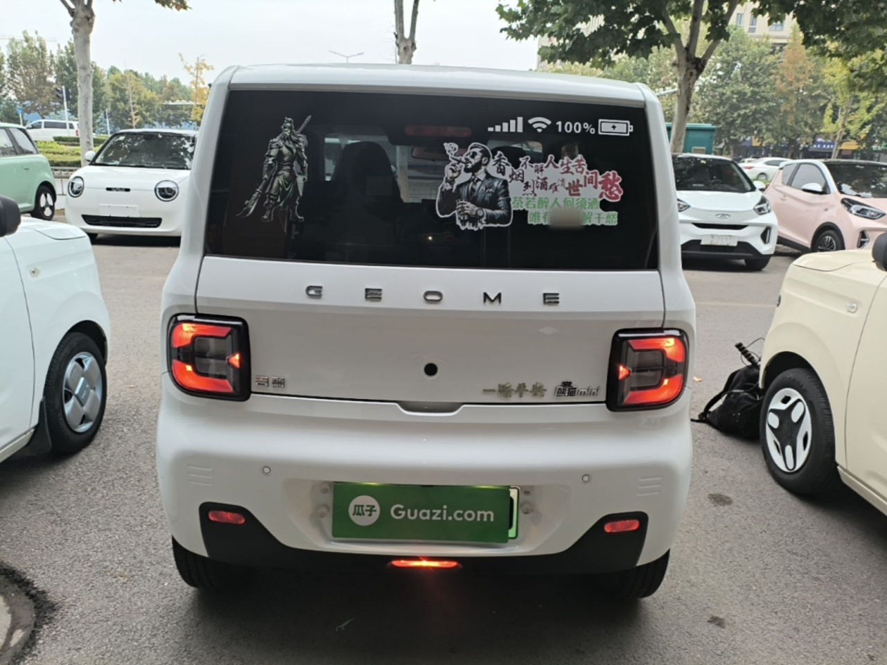 2024 Panda mini 200km Endurance Bear photo 5