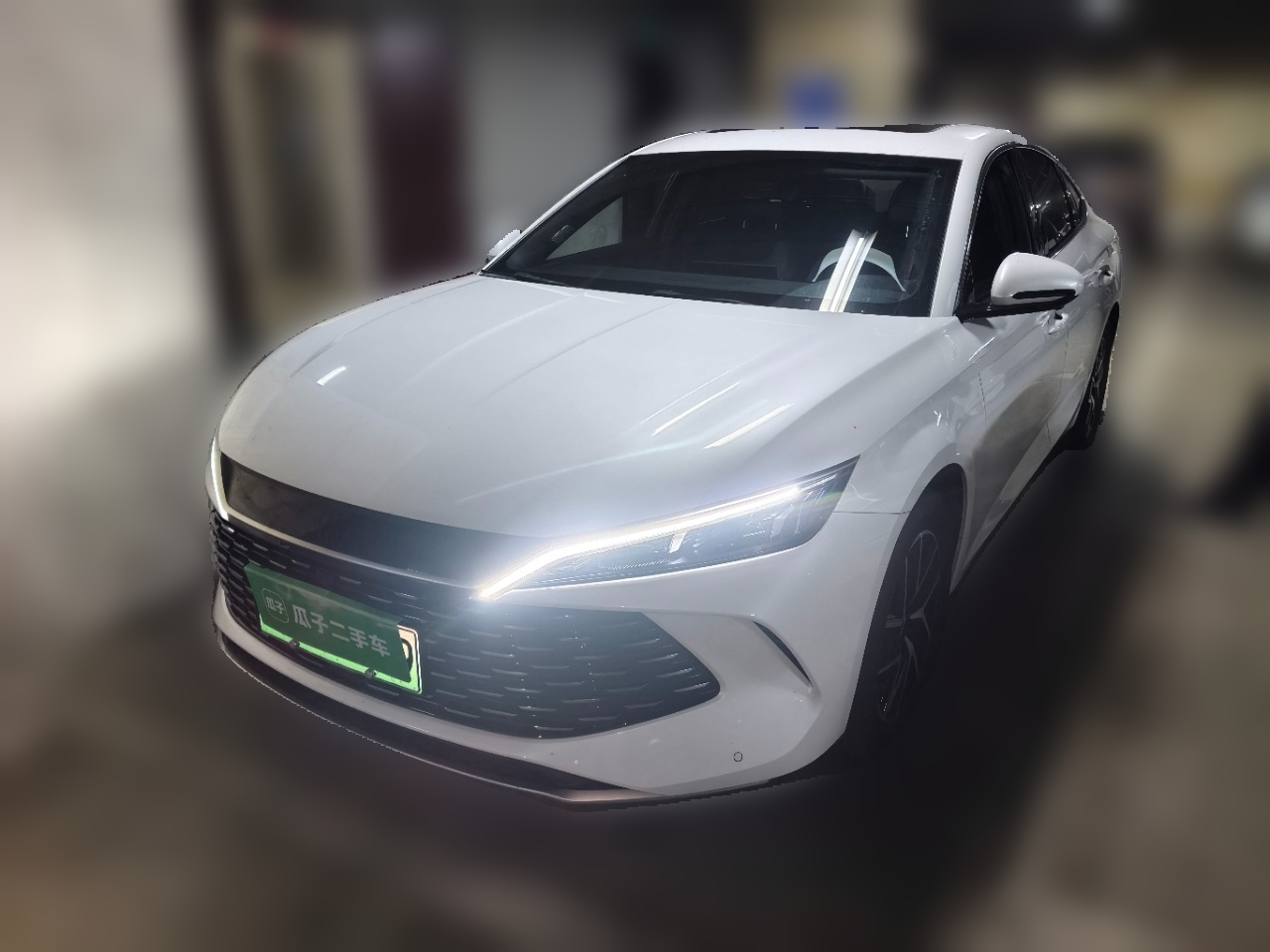 Qin L 2024 DM-i 120KM Leading