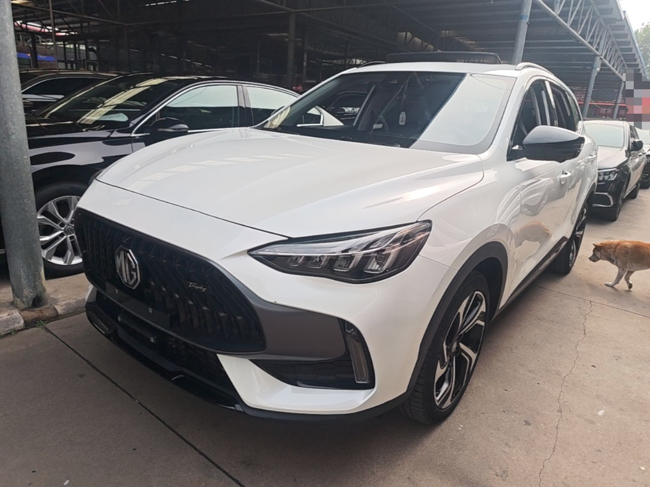 MG Pilot EV 2021 Trophy Series 1.5T Hybrid Trophy Flagship