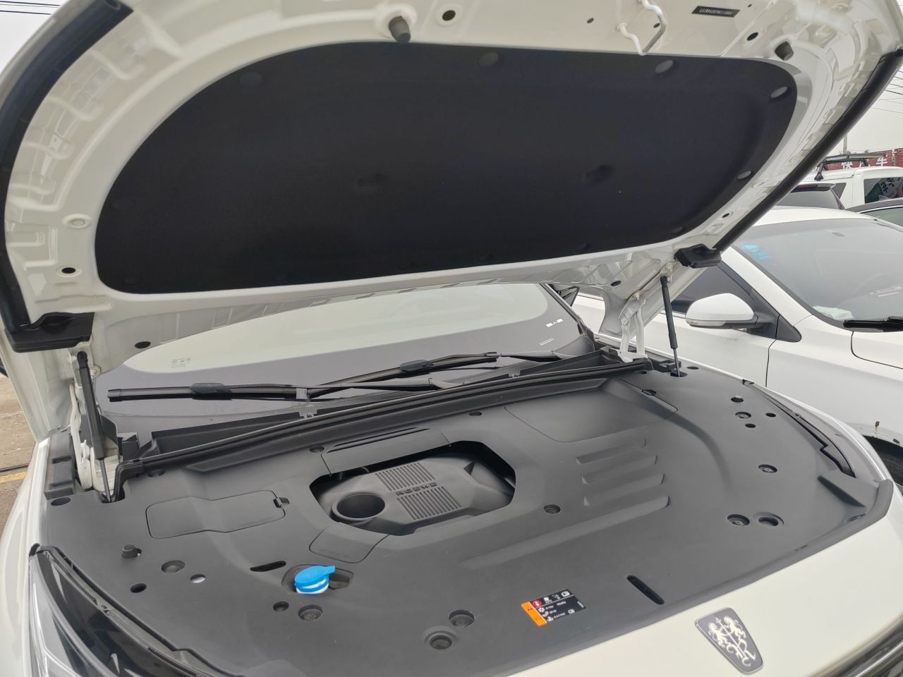 RX5 EV 2023 eRX5 photo 4