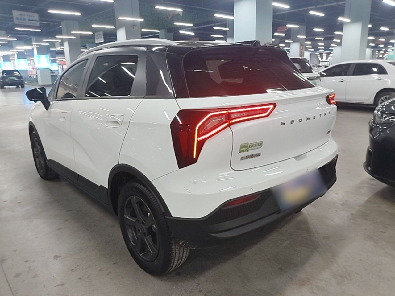 E Firefly 2022 401KM 4-Seater photo 4