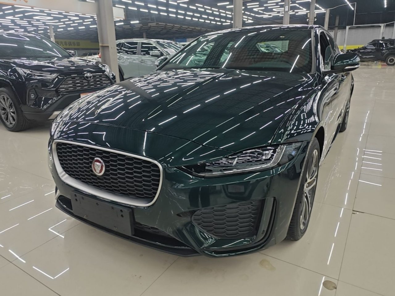 XEL 2023 2.0T 250PS R-DYNAMIC S Progressive Sport