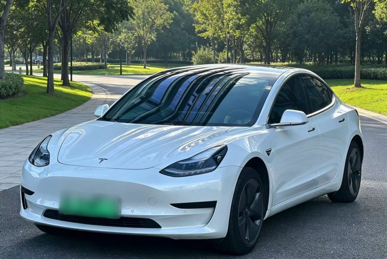 Model 3 Imported 2019 Standard Range RWD Upgraded