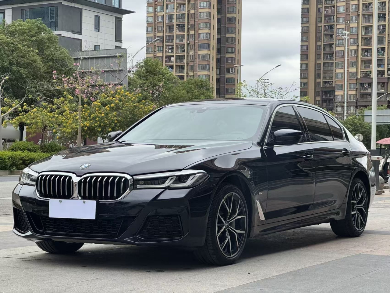 5 Series 2021 530Li Exclusive M Sport Package