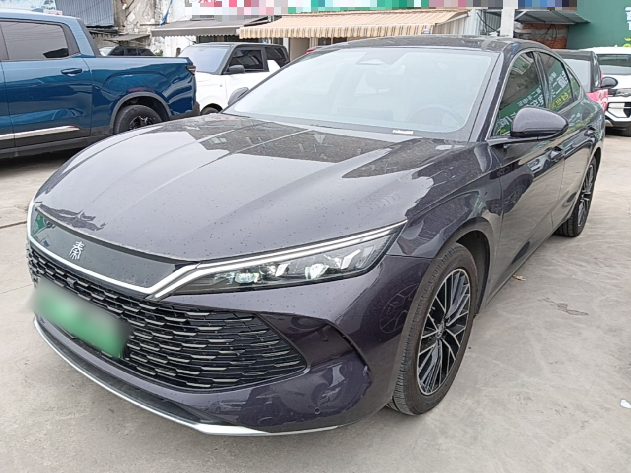Qin L 2024 DM-i 120KM Excellence