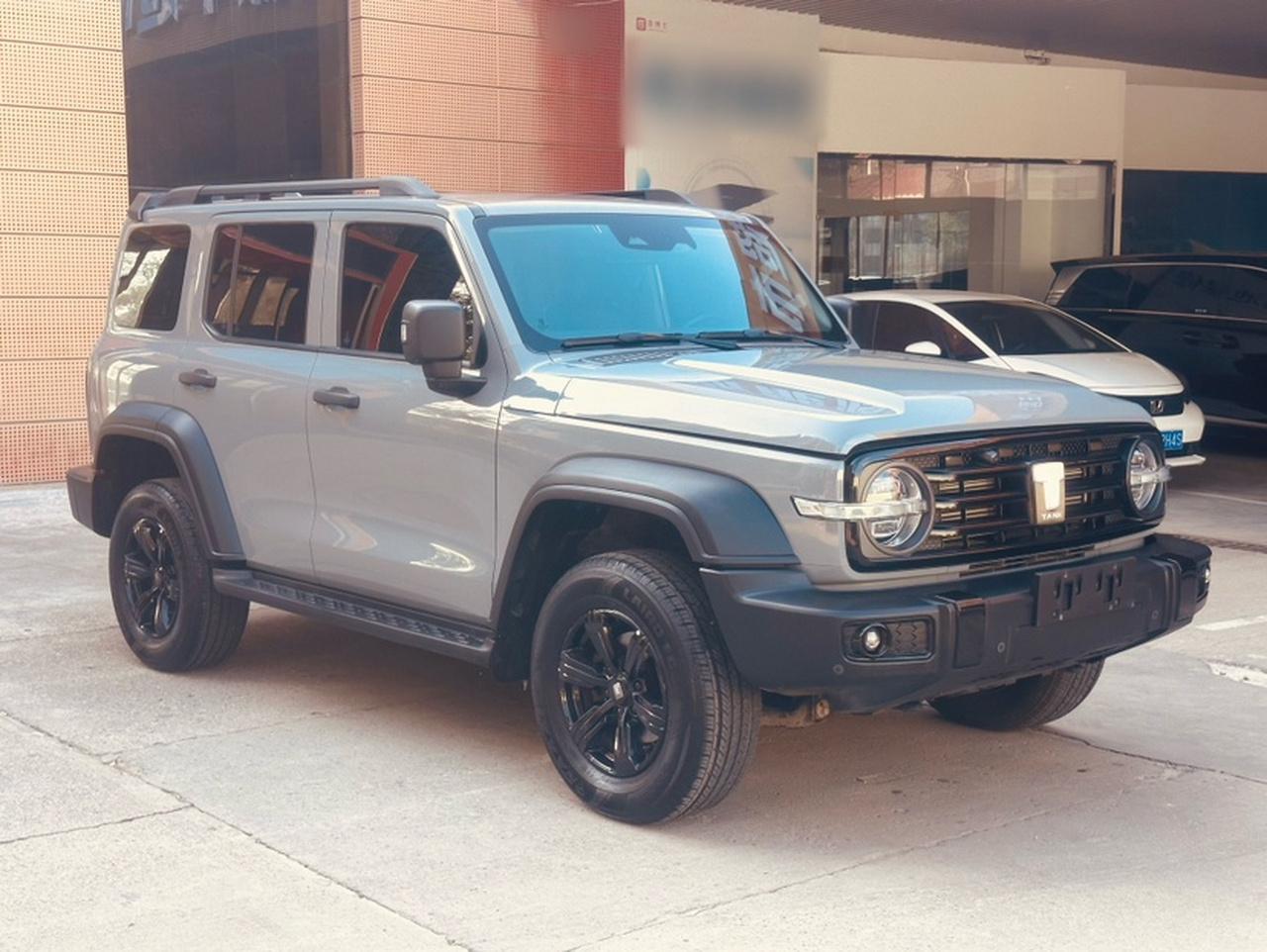 300 2021 Off-road 2.0T photo 3
