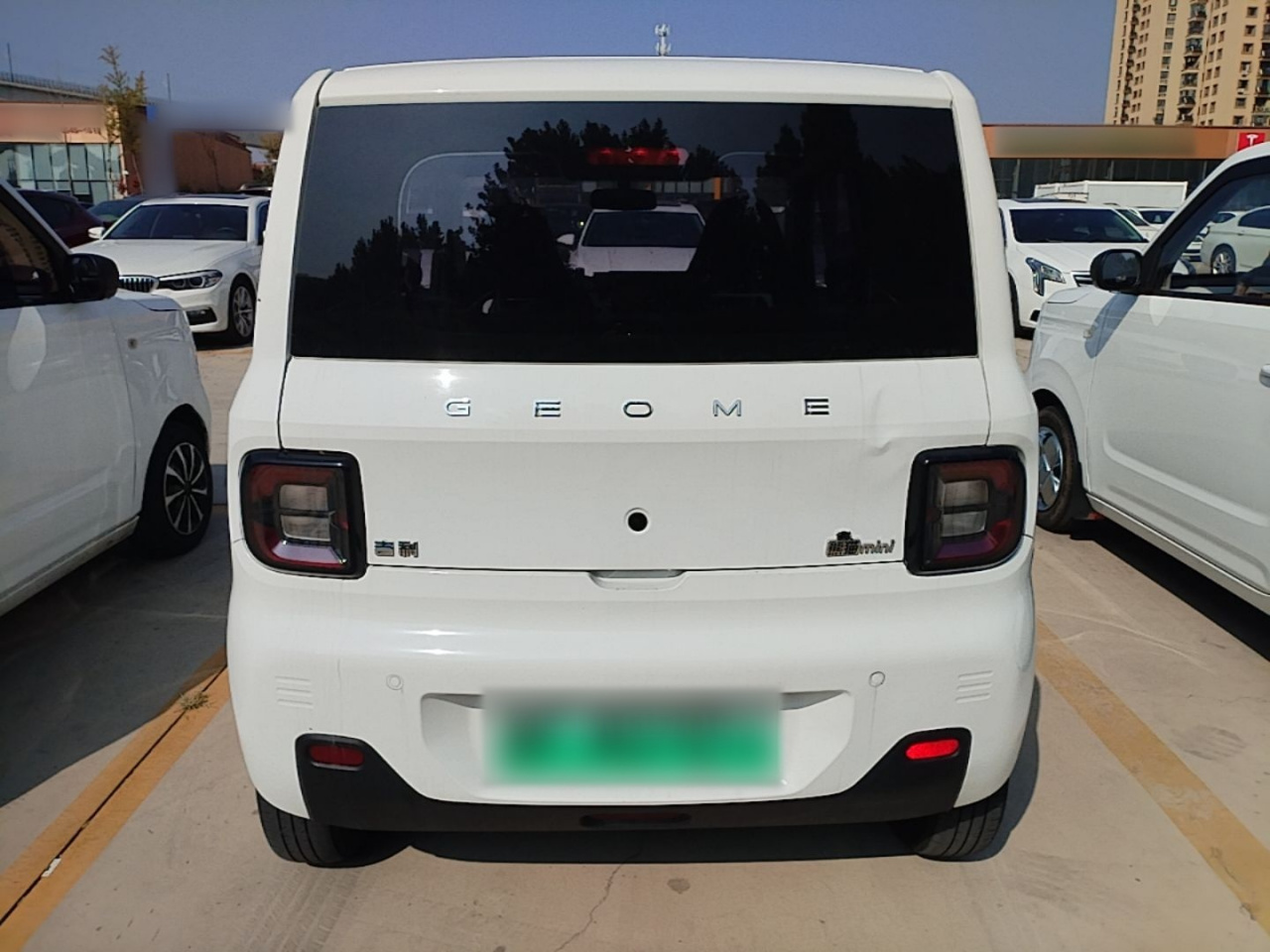 2023 Panda mini 200km Endurance Bear photo 5