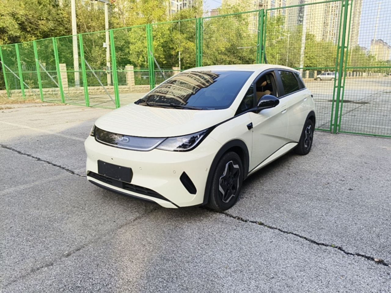 Dolphin 2025 ADAS 420km