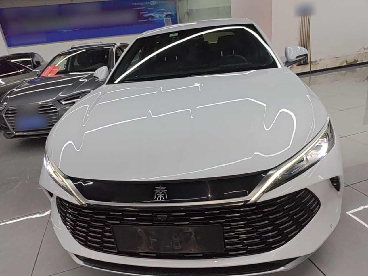 Qin L 2024 DM-i 80KM photo 2