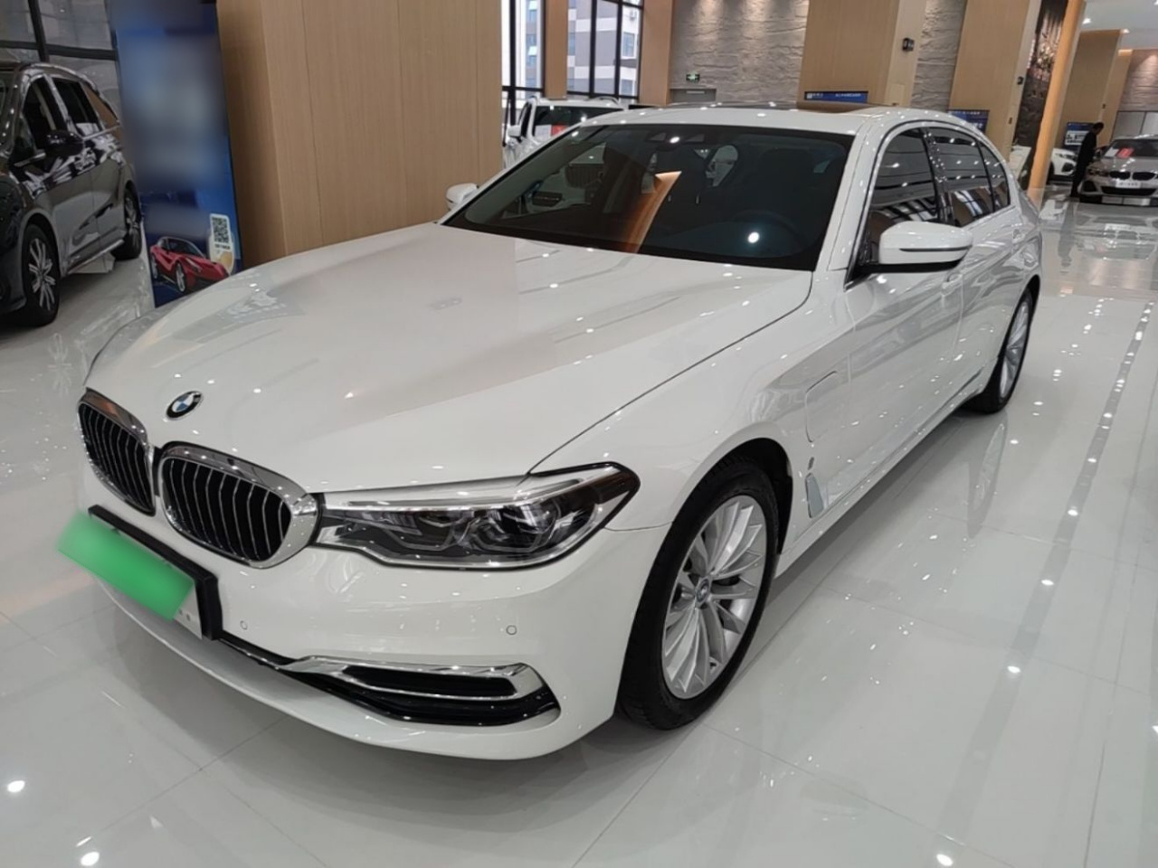 5 Series EV 2019 530Le Luxury
