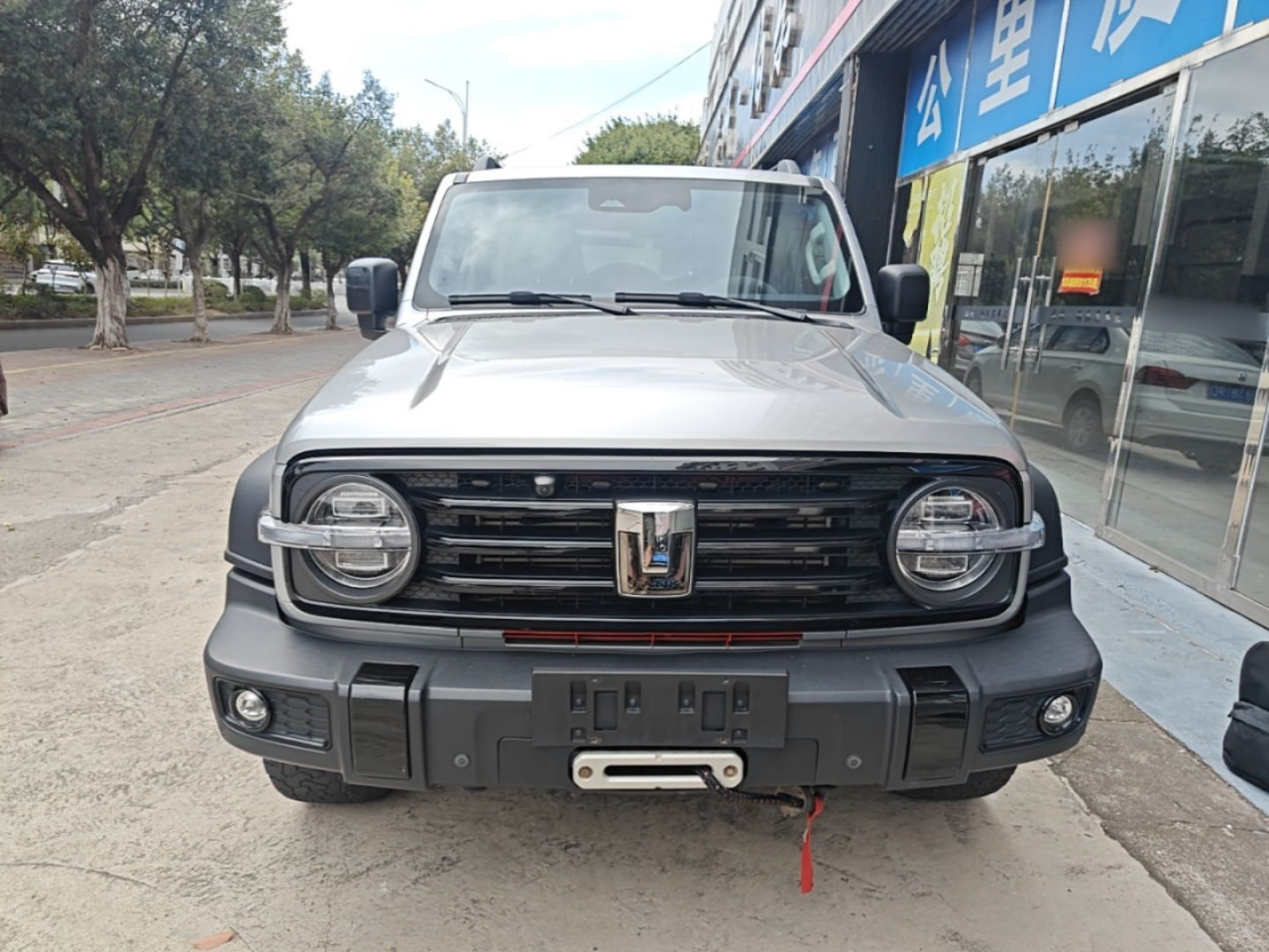 300 2023 Off-road 2.0T photo 2