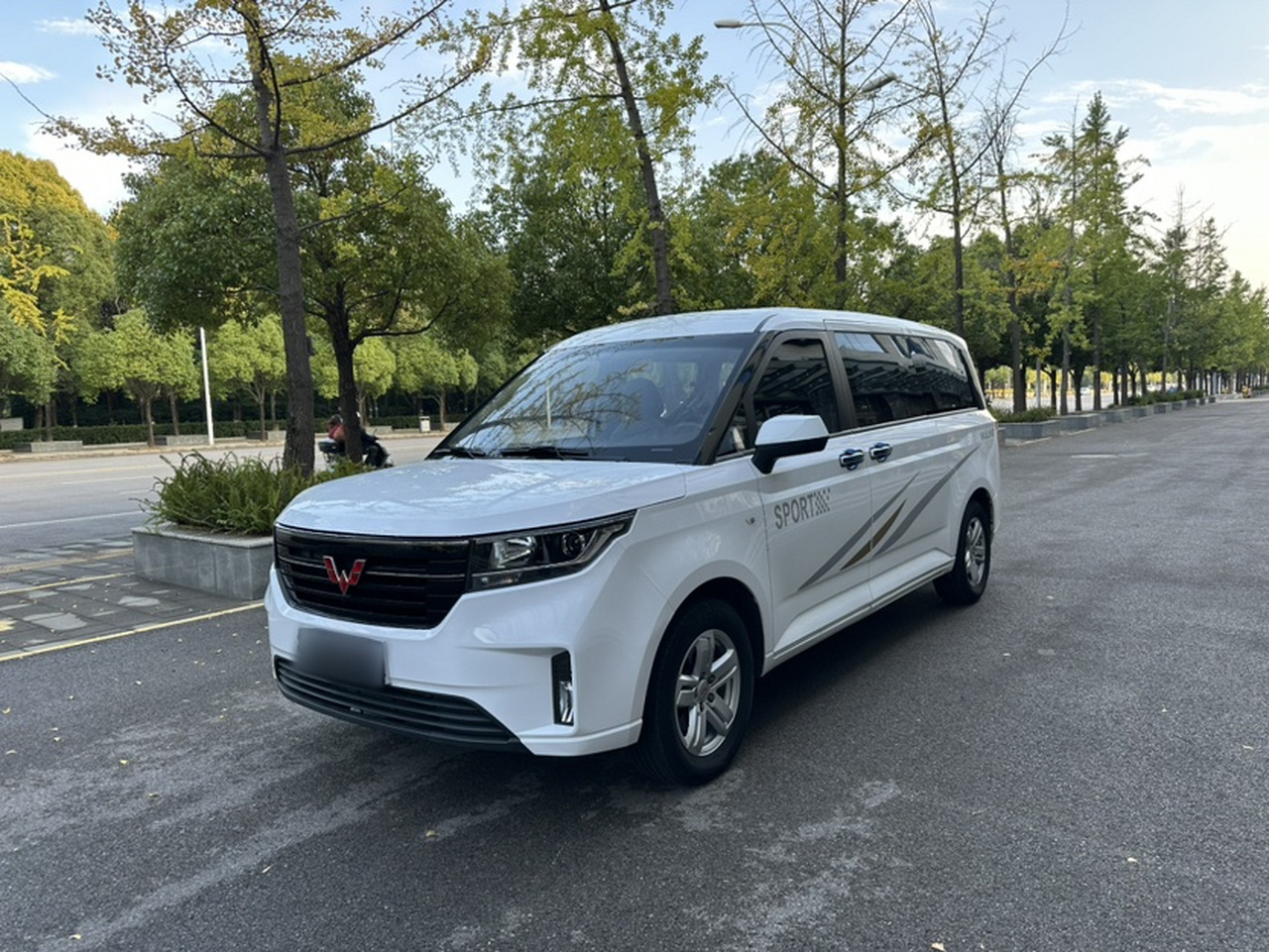 Wuling 2021 1.5T MT Luxury