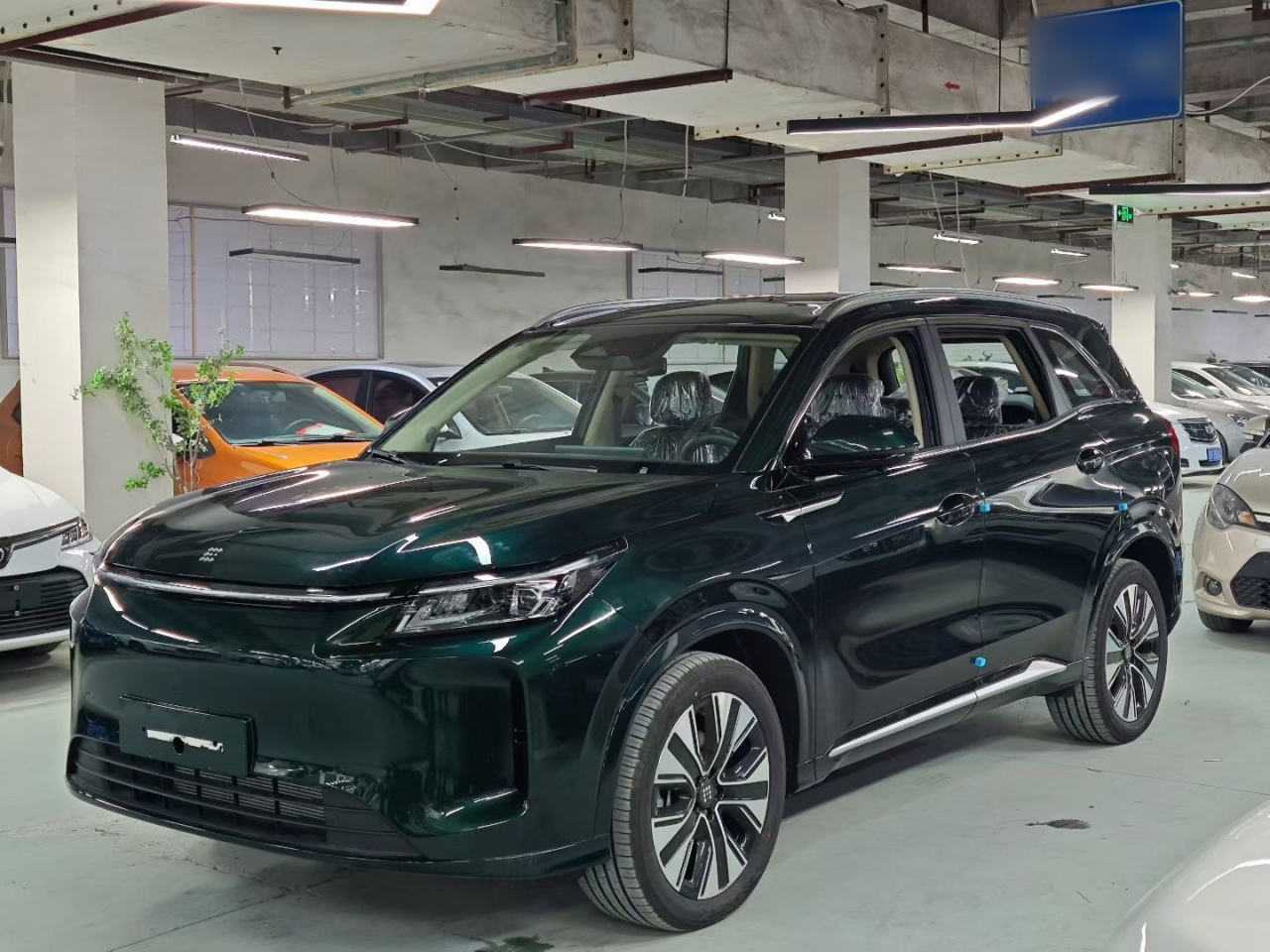 Bluelectric E5 PLUS 2026 165km Long Range Max 7-Seater