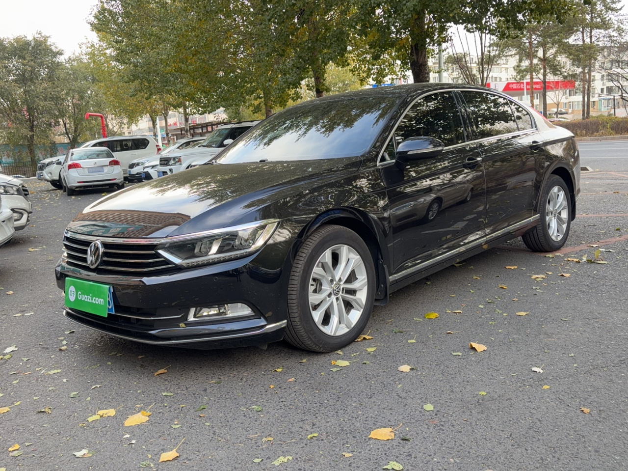 Magotan 2018 Facelift 330TSI DSG Luxury