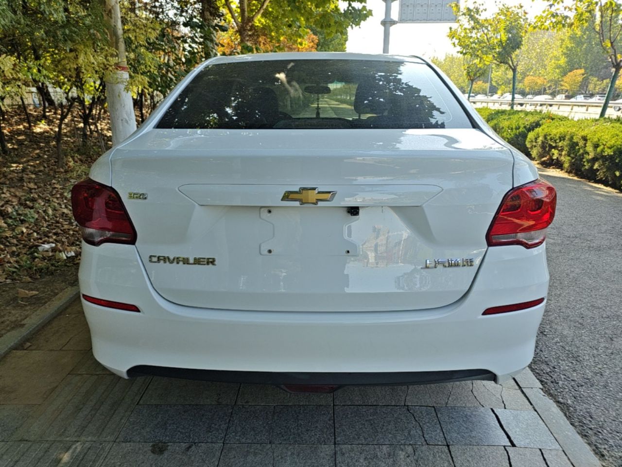 Cavalier 2019 320 AT photo 5